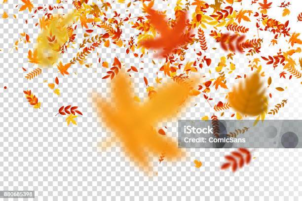 Vector Realistic Isolated Red Yellow And Orange Maple And Oak Falling Leaves Confetti For Decoration And Covering On The Transparent Background Concept Of Happy Autumn Stock Illustration - Download Image Now