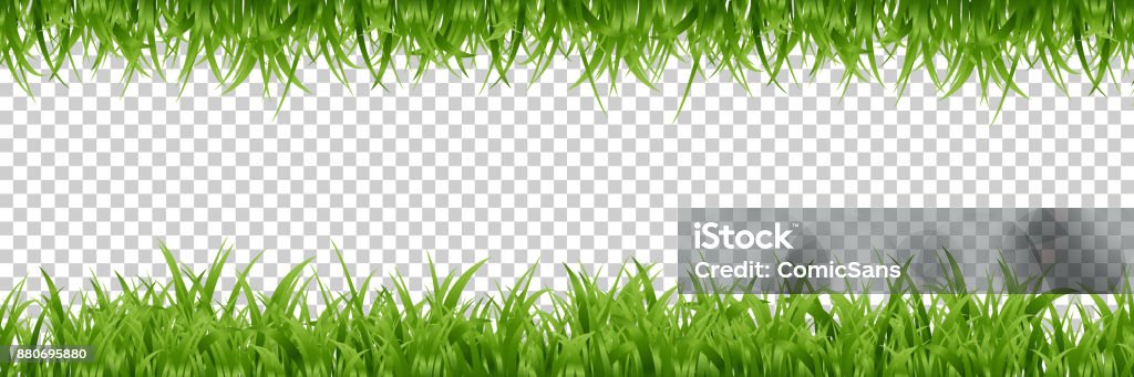 Vector realistic isolated green grass borders for decoration and covering on the transparent background. Grass stock vector