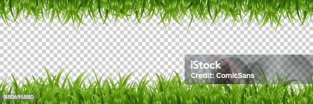 Vector Realistic Isolated Green Grass Borders For Decoration And Covering On The Transparent Background Stock Illustration - Download Image Now