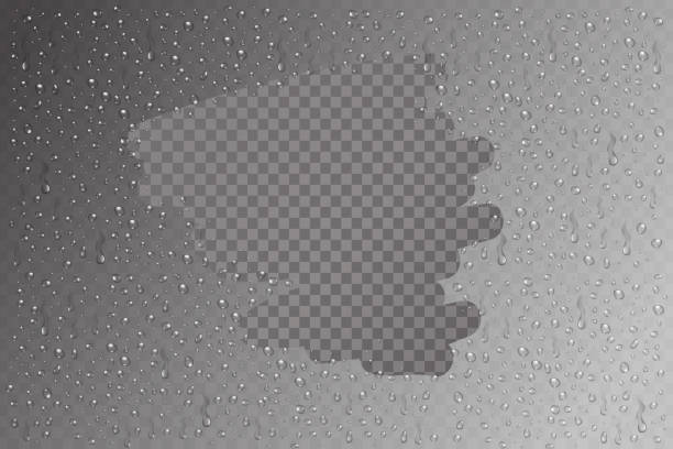 illustrations, cliparts, dessins animés et icônes de vector isolé l’eau réaliste sur l’effet de verre pour la décoration et la couverture. ensemble de gouttelettes d’eau sur le fond transparent. - condensation