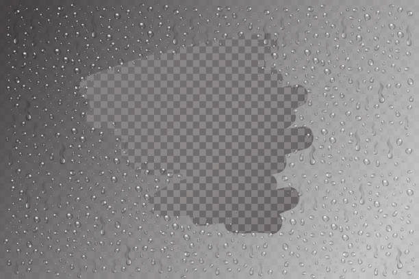 ilustrações, clipart, desenhos animados e ícones de vector isolada água realista sobre o efeito de vidro para a decoração e cobertura. conjunto de gotas de água sobre o fundo transparente. - drop window water fog