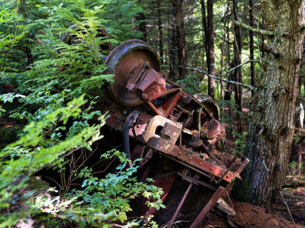 Mining ore rail cars upside down in the forest in Anyox, BC.Canada.