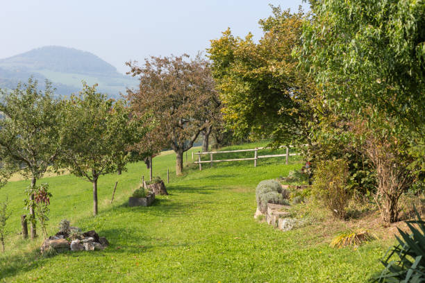 istock south german cottage garden 880715690