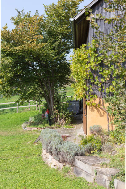 istock south german cottage garden 880715692