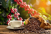 istock Coffee cup coffee beans 880720550