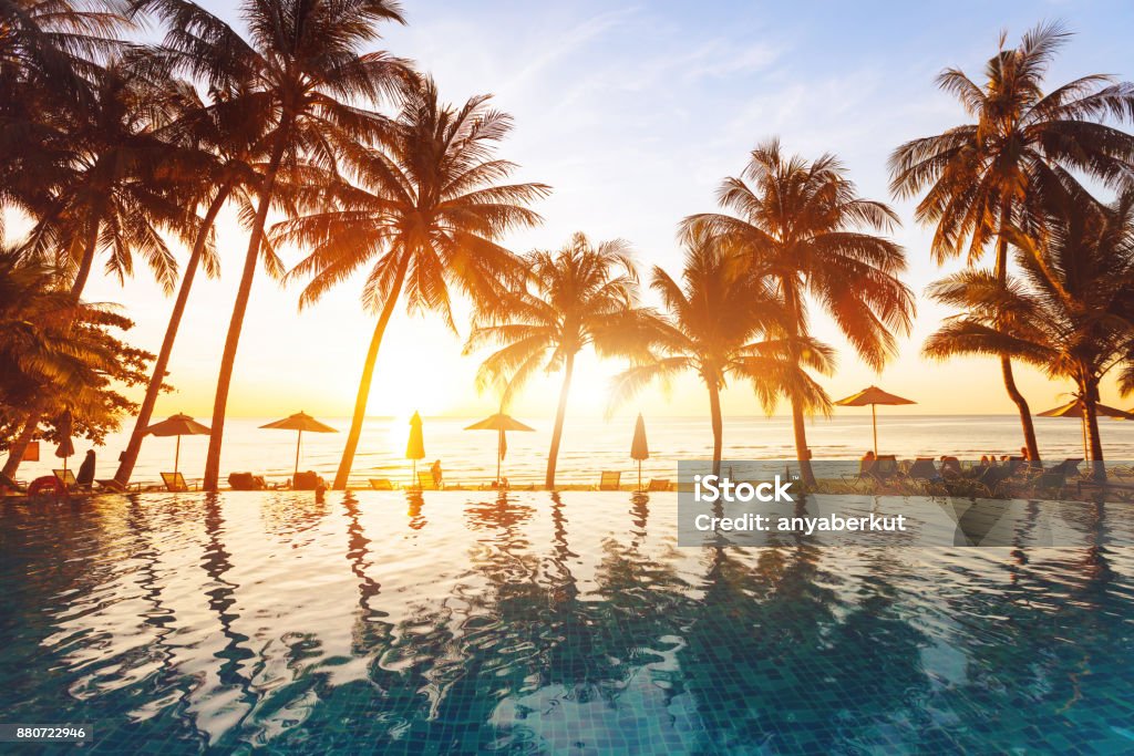 beach holidays, luxury swimming pool with palm trees luxury swimming pool on the beach, tranquil scene of exotic tropical landscape with copy space, summer background for vacation holidays Beach Stock Photo