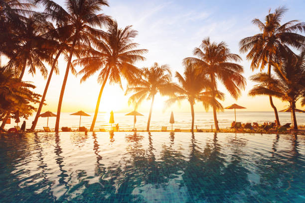 beach holidays, luxury swimming pool with palm trees luxury swimming pool on the beach, tranquil scene of exotic tropical landscape with copy space, summer background for vacation holidays caribbean beach sunset stock pictures, royalty-free photos & images