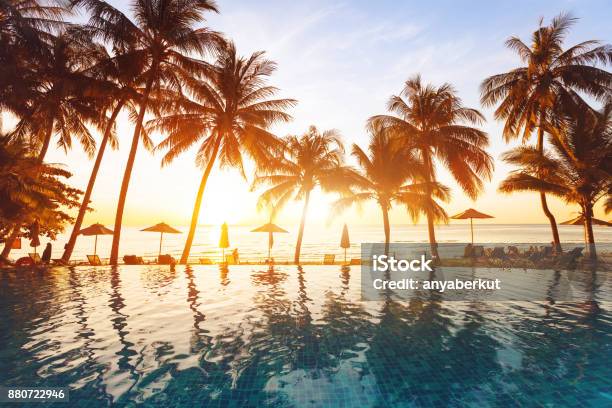 Beach Holidays Luxury Swimming Pool With Palm Trees Stock Photo - Download Image Now