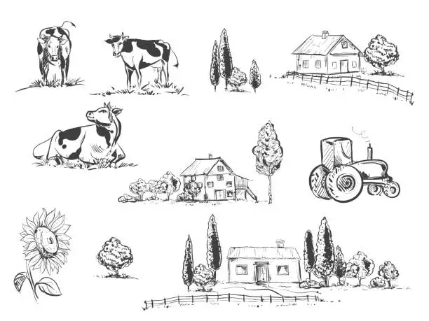 Vector illustration of hand drawn vector illustration set with farm and cow, sunflowers. sketh.