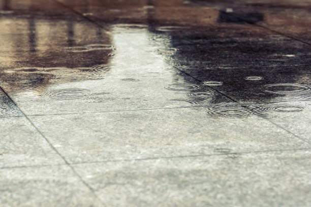 istock Wet walkway in park after rain 880735094