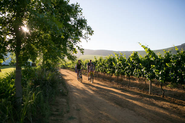 istock Late afternoon family cycle 880742870