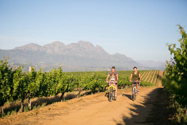 istock Family out on a ride together 880745594