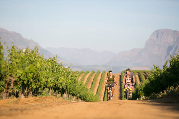istock Family out on a ride together through the winelands 880748256