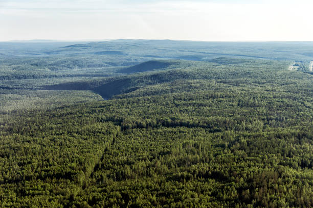 istock Northern landscape. Endless forests 880763700