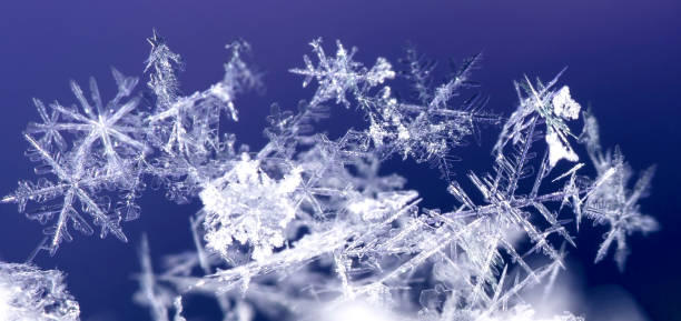 istock natural snowflakes on snow 880770798
