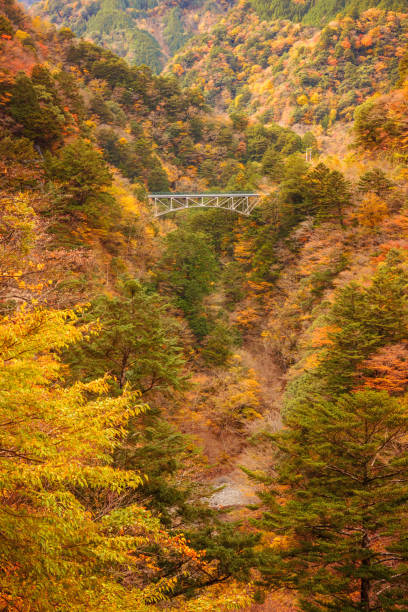 istock Landscape in the valley 880776152