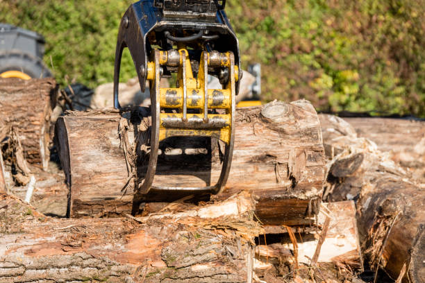 istock Gripper of a crane 880776348