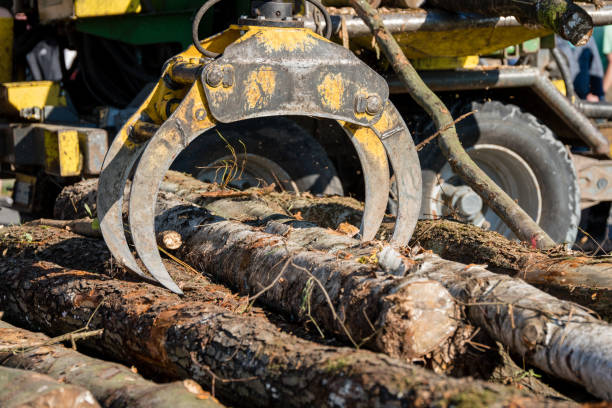 istock Industrial wood chipper in action 880780976