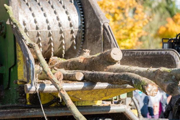istock Industrial wood chipper in action 880780990