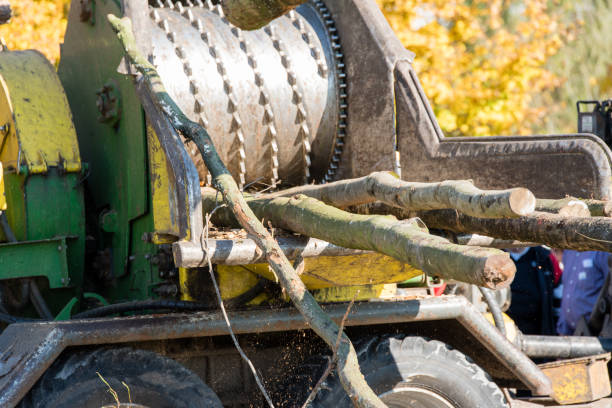 istock Industrial wood chipper in action 880781122