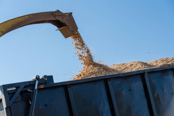 istock Industrial wood chipper in action 880781186