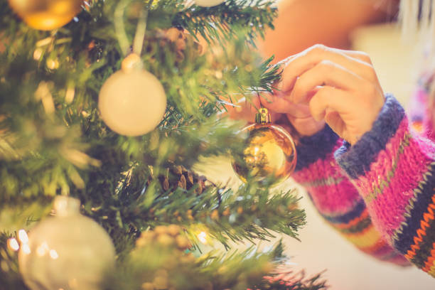 istock Regional Christmas at home 880783416