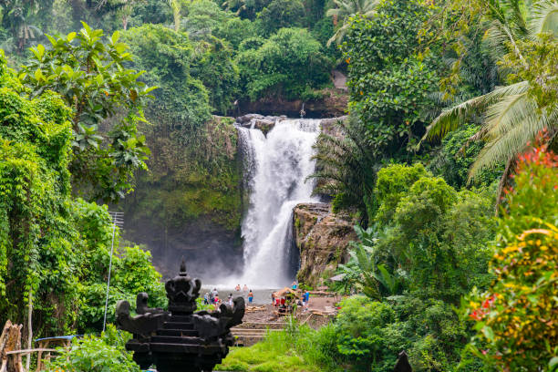 istock Waterfall in the deep rainforests of Bali 880784166