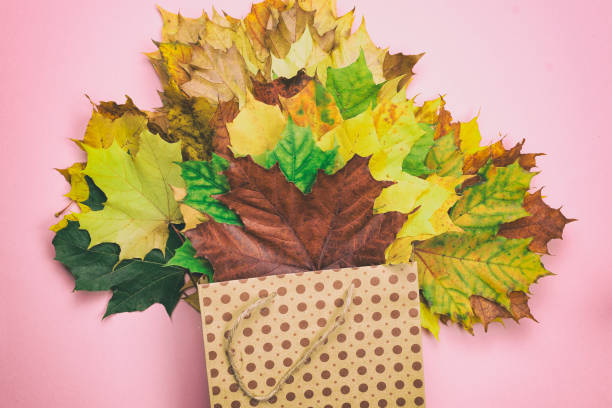 istock A bouquet of autumn leaves on a light background 880795876