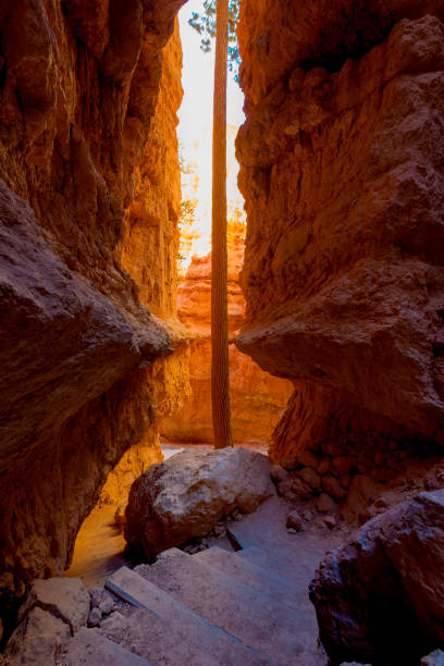 istock Wall Street, Bryce Canyon National Park 880798712
