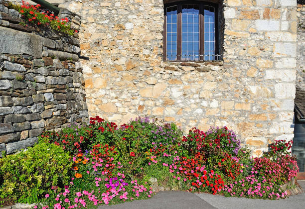 istock Wall and flowers in Landskron, Austria 880801704