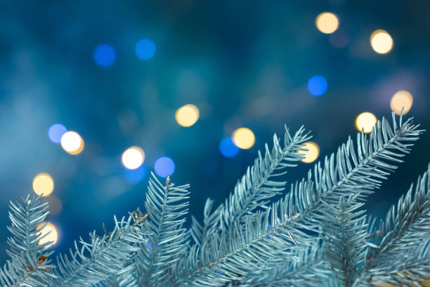 istock christmas tree branches on blurred blue holiday background with lights 880810686