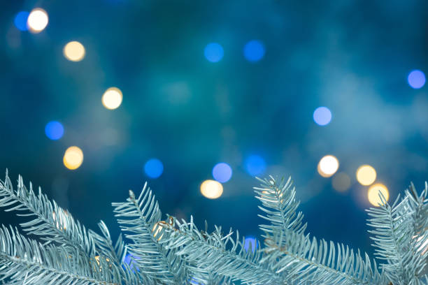 istock christmas tree branch on blurred blue background with holiday lights 880810872