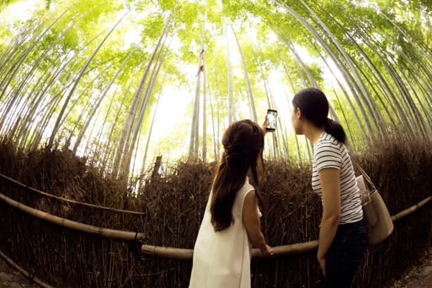 istock Using a smartphone to take a selfie for their trip to a bamboo forest 880816344