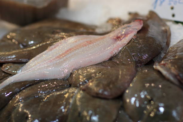 istock Filet of fish for sale 880821438