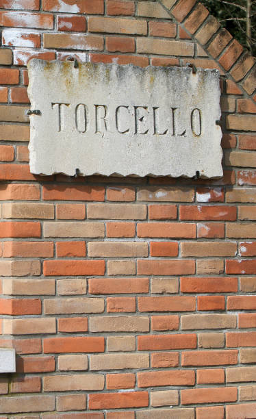 istock Torcello in Venice, Italy 880826084