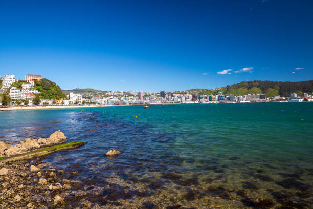 istock Wellington City Centre 880833300