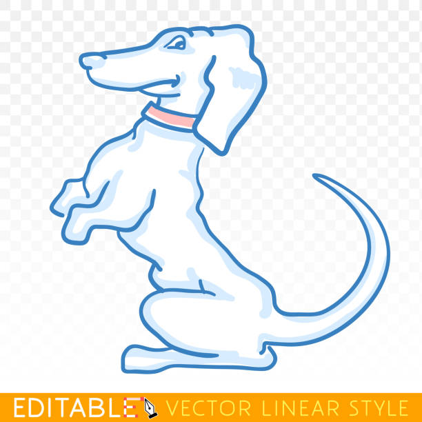 ilustrações, clipart, desenhos animados e ícones de cão bonito. bassê de cachorrinho. esboço editável no estilo de tinta azul. ilustração em vetor doodle mão desenhada. - dachshund dog white background hunting dog