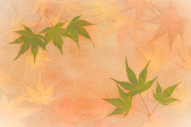istock Japanese autumn maple leaf on traditional paper background 880841472