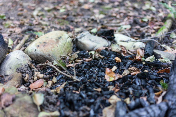 firewood on fire place in forest with ash and coal close up