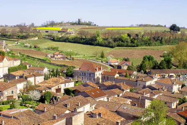 istock Panoramic view of Saint Emilion, France 880848324