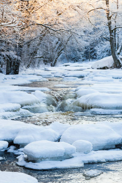 istock Frozen river in winter wonderland 880851172