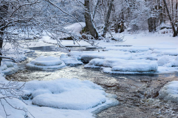 istock River flowing slowly through the winter forest 880851198