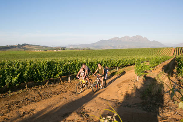 istock Family out on a ride together through the winelands 880851610
