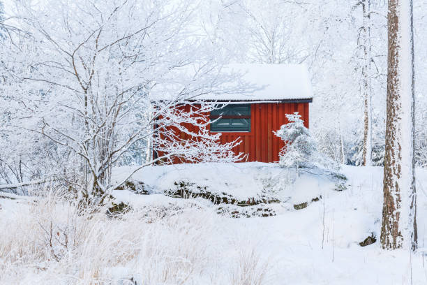 istock Hunting cabin in a winter forest 880851696