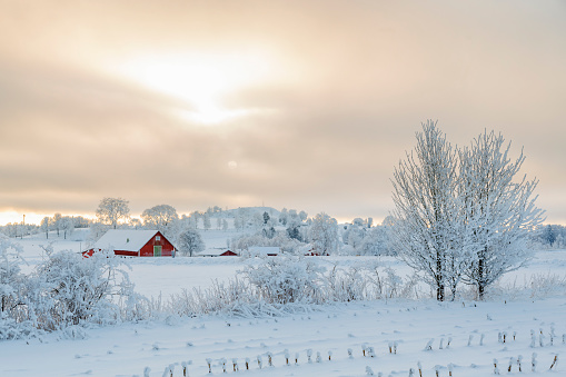 Granja en un paisaje rural de invierno con nieve y escarcha photo