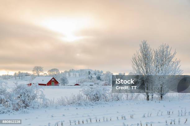 Farm In A Rural Winter Landscape With Snow And Frost Stock Photo - Download Image Now