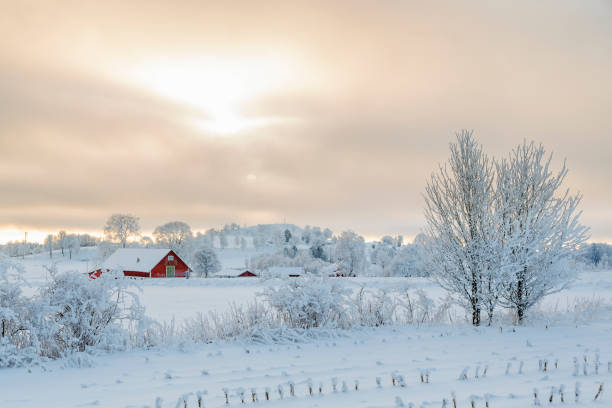 fazenda em uma paisagem rural de inverno com neve e geada - landscape rural scene non urban scene farm - fotografias e filmes do acervo