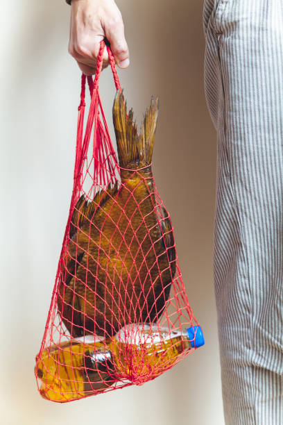 istock Man in striped pants holding net with fish and beer 880854626