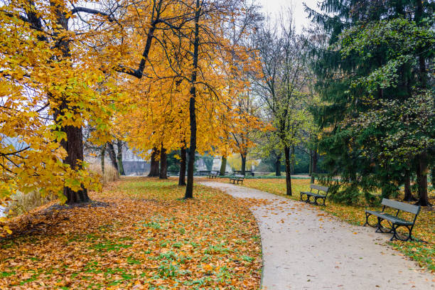 istock A beautiful autumn landscape. 880855634