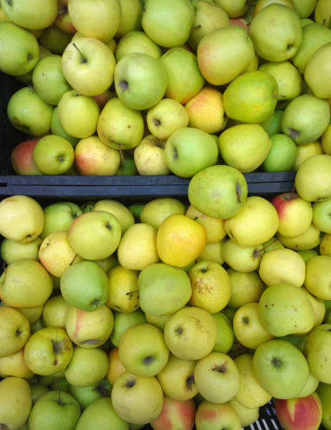 istock Apples for sale. 880878918